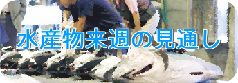 水産物来週の見通し 水産物来週の見通し