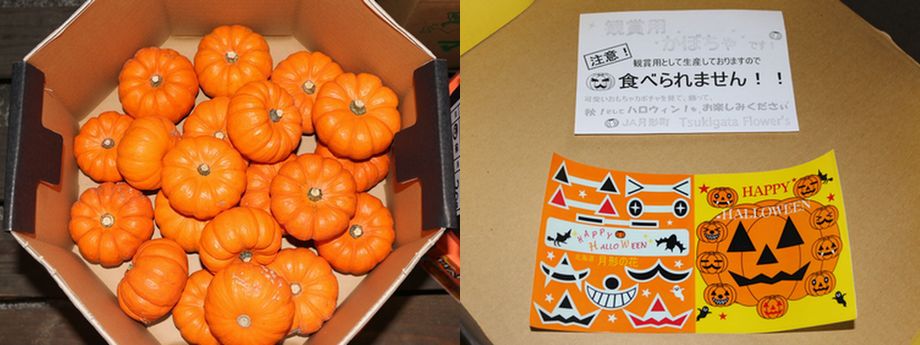 市場トピックス Blog Archive 観賞用かぼちゃ が入荷されました