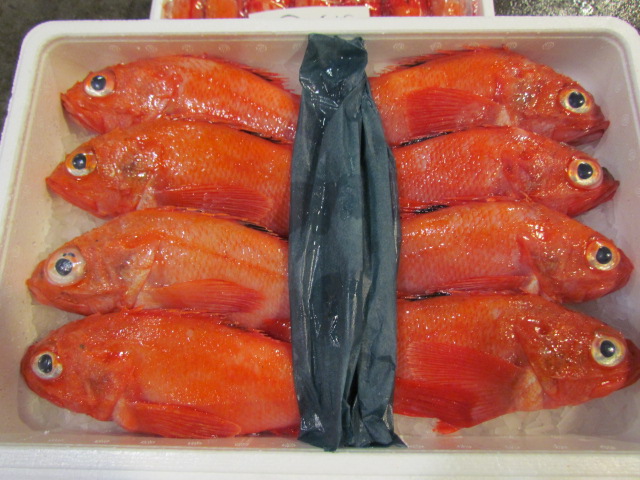 市場トピックス Blog Archive 赤色に輝くお魚 キンキ です