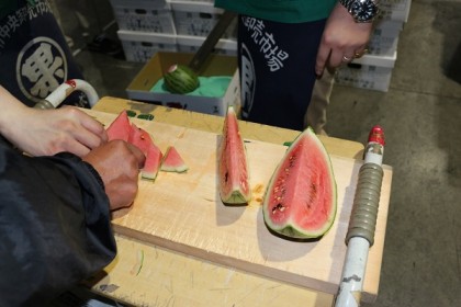 プチすいか試食