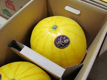 太陽らいでんすいか 太陽らいでんすいか