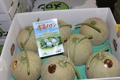 厚田メロン 厚田メロン