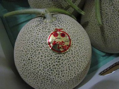 厚田メロンのラベル 厚田メロンのラベル
