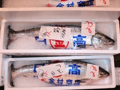 秋サケ（日高産）