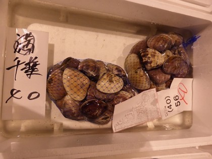 はまぐり（千葉県産）