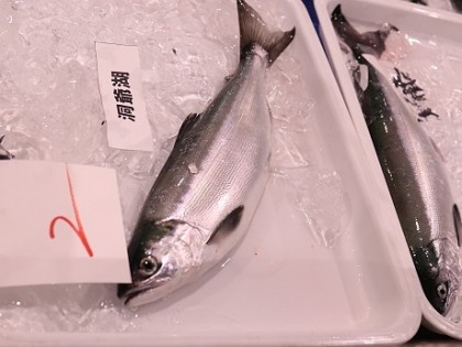 洞爺湖産チップ