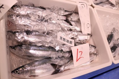支笏湖産チップ 支笏湖産チップ