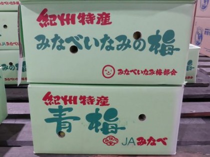 ume002