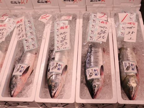 akisake5