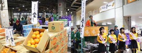ehime3