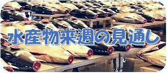 水産物来週の見通し