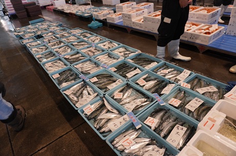 チップが売り場に並ぶ様子の写真
