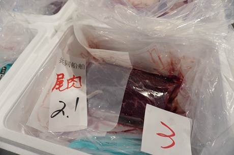 鯨の生肉②