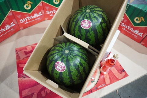 特秀品のらいでんスイカ二玉