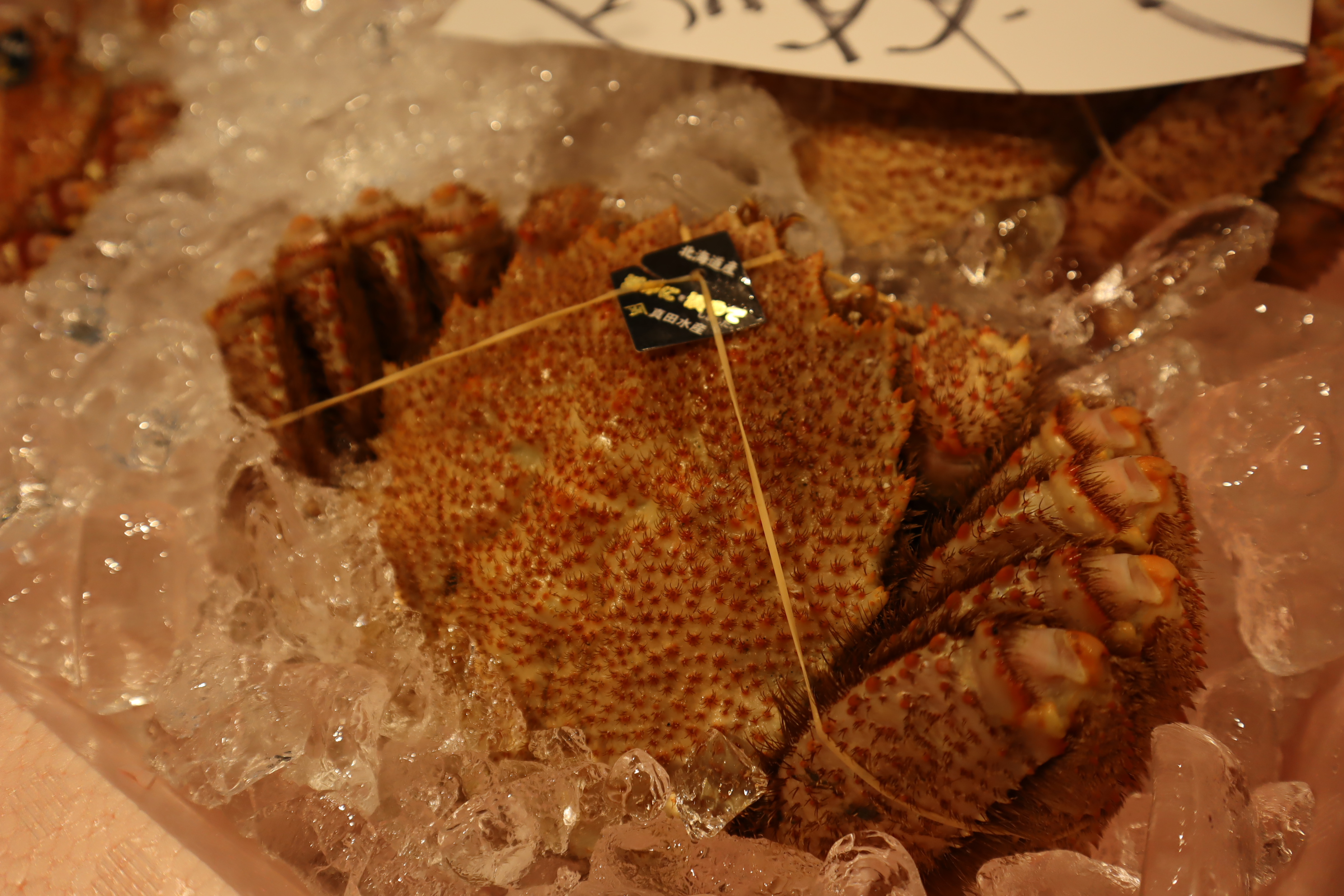 せりで落とされた毛ガニです。