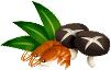 : Z:\DATA\NENPO\2015\image\titleside.gif